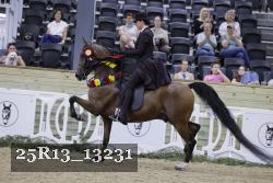 25R13_13231 thumbnail