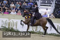 25R13_13232 thumbnail