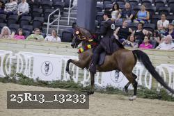 25R13_13233 thumbnail