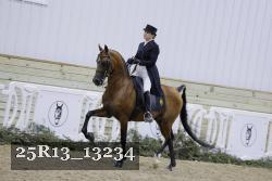 25R13_13234 thumbnail