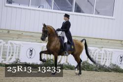 25R13_13235 thumbnail