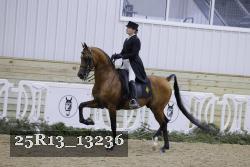 25R13_13236 thumbnail