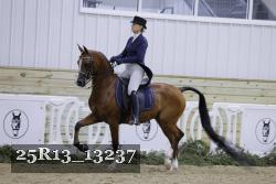 25R13_13237 thumbnail