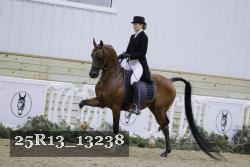25R13_13238 thumbnail