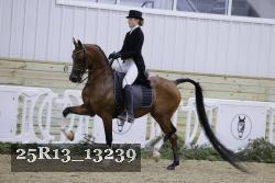 25R13_13239 thumbnail