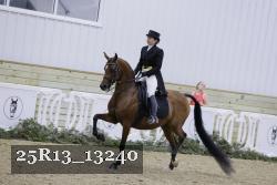 25R13_13240 thumbnail