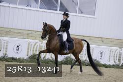 25R13_13241 thumbnail