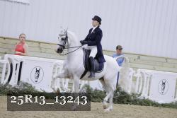 25R13_13243 thumbnail