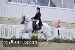 25R13_13244 thumbnail