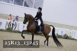 25R13_13245 thumbnail