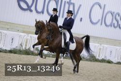 25R13_13246 thumbnail