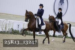 25R13_13247 thumbnail