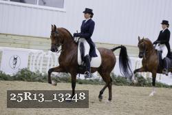 25R13_13248 thumbnail
