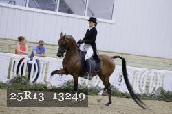 25R13_13249 thumbnail