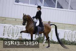 25R13_13250 thumbnail