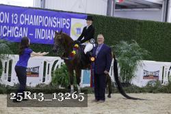 25R13_13265 thumbnail