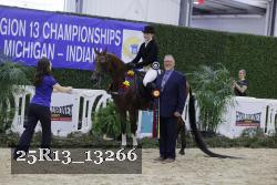 25R13_13266 thumbnail