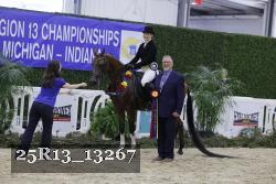 25R13_13267 thumbnail