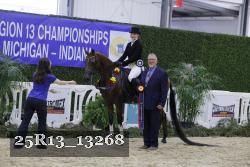 25R13_13268 thumbnail
