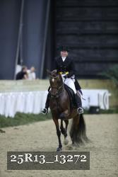 25R13_13272 thumbnail