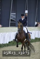 25R13_13273 thumbnail