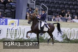 25R13_13277 thumbnail