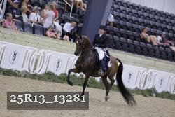 25R13_13281 thumbnail