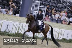 25R13_13282 thumbnail
