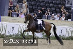 25R13_13284 thumbnail