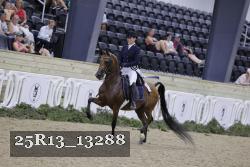 25R13_13288 thumbnail