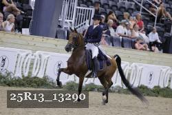 25R13_13290 thumbnail