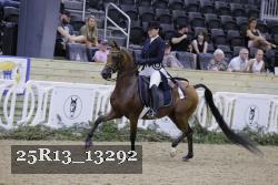25R13_13292 thumbnail