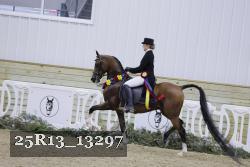 25R13_13297 thumbnail