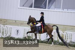 25R13_13298 thumbnail