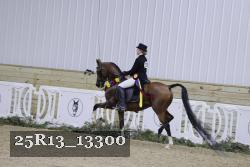 25R13_13300 thumbnail