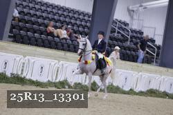 25R13_13301 thumbnail