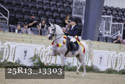 25R13_13303 thumbnail