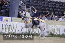 25R13_13304 thumbnail