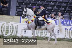 25R13_13306 thumbnail