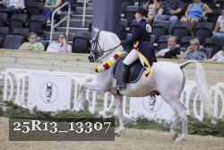 25R13_13307 thumbnail