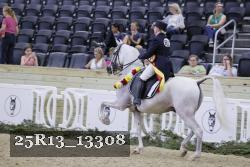 25R13_13308 thumbnail