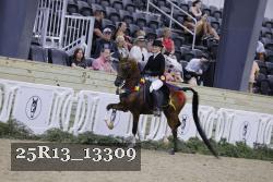 25R13_13309 thumbnail
