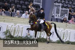25R13_13310 thumbnail