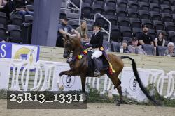 25R13_13311 thumbnail