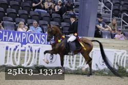 25R13_13312 thumbnail