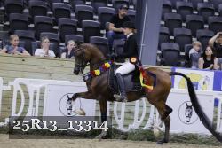25R13_13314 thumbnail