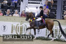 25R13_13315 thumbnail