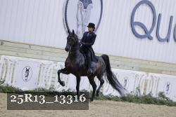 25R13_13316 thumbnail