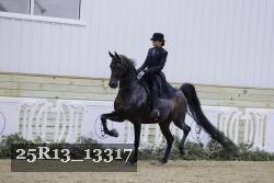 25R13_13317 thumbnail