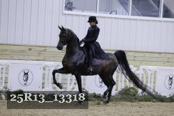 25R13_13318 thumbnail